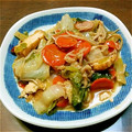 ねばねば星人's cooksnap of when they made 厚揚げと白菜の中華炒め.