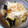とろけい's cooksnap of when they made 茄子としらすのさっぱり和え.