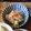 花椒's cooksnap of when they made 半日で‼白菜の手作り浅漬け♪.