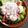 しやわし's cooksnap of when they made 豆腐クリーム　ツナ塩レモン　ドレッシング.