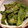 ゆうゆうじんじん's cooksnap of when they made ピーマンの簡単!!みそ炒め.