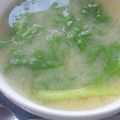 上手にできるかな's cooksnap of when they made 和風 わさび菜のベーコンサラダ♡.