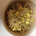 イプサム's cooksnap of when they made ダシダで・豆もやしのナムル.