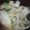 摩訶たいしょう's cooksnap of when they made レンジで♪豆腐ときのこのふんわり蒸し.