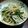 odette♪'s cooksnap of when they made もやしの中華風和え物.
