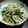 odette♪'s cooksnap of when they made もやしの中華風和え物.