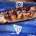 ma1108's cooksnap of when they made 旬を楽しむ、さんまの塩焼き.
