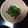 greentea99's cooksnap of when they made ほうれん草の胡麻和え♡簡単！.