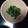 greentea99's cooksnap of when they made ほうれん草の胡麻和え♡簡単！.