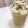 yun（＊･ω･＊）'s cooksnap of when they made とろ～りカフェオレみるくプリン.