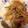 おぅぷん's cooksnap of when they made うちの夕飯　簡単豚丼.