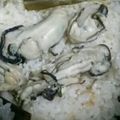もろもろ10もろ's cooksnap of when they made 塩味が美味しい！牡蠣御飯.
