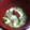 ワナミン」's cooksnap of when they made 風邪引きさんに。大根の葉のみぞれ粥.