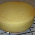 クックZH1WYU☆'s cooksnap of when they made 5号(15cm)共立てスポンジ.