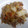 クックCP681N☆'s cooksnap of when they made 白菜と豚肉の簡単炒め.