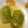 なつきのママ's cooksnap of when they made 【絶品】つなぎ無し鶏挽肉ロールキャベツ.