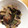にしだぁ's cooksnap of when they made 我が家の味♪あさりと豚肉と小松菜の炒め♪.