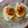 あーもこ's cooksnap of when they made お弁当のゆでたまご.