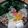 kurolabu428's cooksnap of when they made 柚子の湯豆腐.