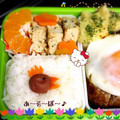 もぐもぐ人's cooksnap of when they made 夏のお弁当在住☀梅ちゃん❤.