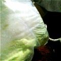 つやこ's cooksnap of when they made 手作り☆白菜のお漬物.