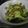 fruitschan's cooksnap of when they made 豚バラと野菜のオイスターソース炒め.