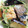 上手にできるかな's cooksnap of when they made 焼き鯖の香味野菜ソース.