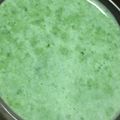 マイさよ's cooksnap of when they made バナナとホウレン草のお手軽スムージー.