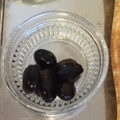 お気楽な嫁。's cooksnap of when they made とっても簡単！黒豆の煮物.