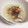 Shiho09090's cooksnap of when they made 大根と白菜と鶏のみぞれ鍋.