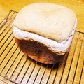 青いぽん太's cooksnap of when they made ♡HBで♡ふわふわ～全粒粉の食パン.