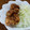 ＹＯＤＡ's cooksnap of when they made 鶏のから揚げゴマだれかけ.