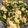 1094403's cooksnap of when they made 豆腐ニラ玉.