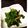 taco005's cooksnap of when they made 簡単 インゲンの梅肉和えお弁当おかずにも.