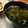 月✳Iris's cooksnap of when they made とろろ昆布と桜えびの海鮮汁.