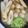 大王イカ's cooksnap of when they made きりたんぽ鍋.