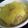 maruru-nn's cooksnap of when they made ５種のきのこと玉葱と豆乳のグラタン.