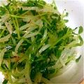 MofeMofee's cooksnap of when they made 豆苗とモヤシのナムル.