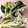 ＬＯＶＥＤＯＧＳ's cooksnap of when they made ちぢみほうれん草と水菜のマヨラー油あえ！.