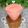 mielle's cooksnap of when they made すいかといちごのスムージー.