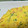 ゆず蜜＊'s cooksnap of when they made やみつき！ふわふわ✧*鮭マヨ玉子焼き✧*.