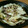 harun☆'s cooksnap of when they made 豚肉と白菜・しめじのタジン鍋蒸し.