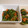 さくらちょことまと's cooksnap of when they made 全部レンジで♡ほうれん草と人参のごまあえ.