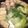 もも0419's cooksnap of when they made ヘルシー！牡蠣の中華風塩鍋！.