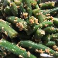 ペリーヌ★'s cooksnap of when they made いんげんのピーナツあえ　料理のための清酒.