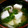 ばるさもす's cooksnap of when they made 春を浮かべて♪菜の花のお吸い物.