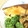 つぶあんらぶ２３'s cooksnap of when they made 簡単絶品♪ぶりの照り焼き.