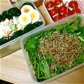 jiin's cooksnap of when they made パリパリ！大根と水菜のじゃこサラダ.