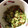 しおりおママ★'s cooksnap of when they made 納豆ときゅうりのひたし.
