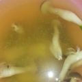 す1222's cooksnap of when they made エコなのか!?お米の研ぎ汁でお味噌汁✿.